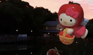 篮球直播-213票赞成、214票反对，美众院终止特朗普对伊军事行动议案被否决