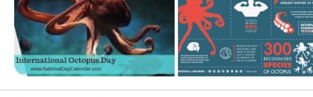 篮球比分-阿斯塔纳站梅总退赛，全场懵逼，事情原来是这样的…