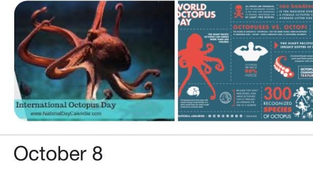 篮球比分-阿斯塔纳站梅总退赛，全场懵逼，事情原来是这样的…